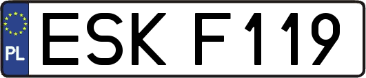 ESKF119