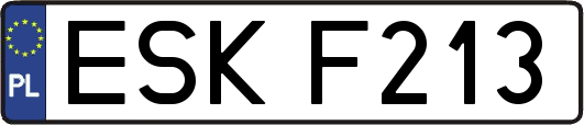 ESKF213