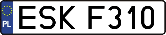 ESKF310