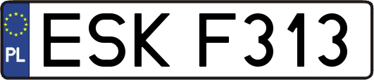 ESKF313