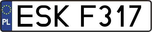 ESKF317