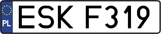 ESKF319