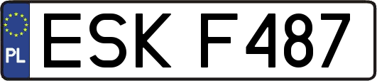 ESKF487