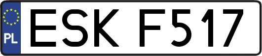 ESKF517