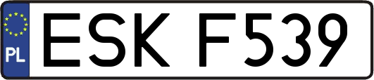 ESKF539