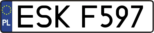 ESKF597