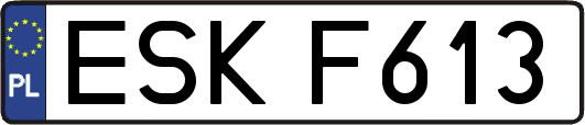 ESKF613