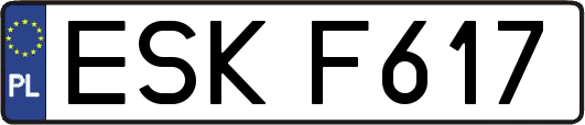 ESKF617