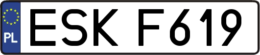 ESKF619