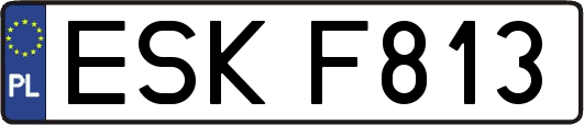 ESKF813