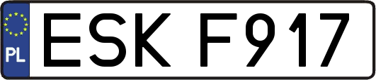 ESKF917