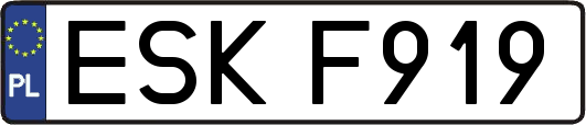 ESKF919