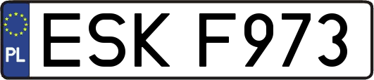 ESKF973