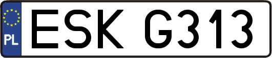 ESKG313