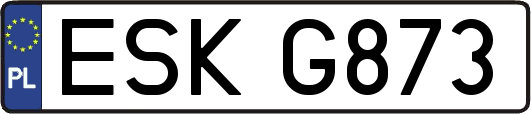 ESKG873