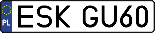 ESKGU60