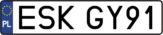 ESKGY91