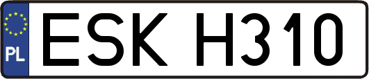 ESKH310