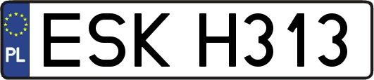 ESKH313