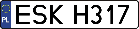 ESKH317