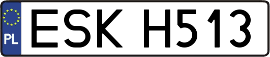 ESKH513