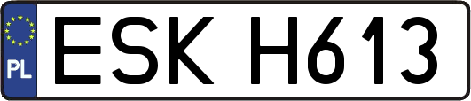 ESKH613