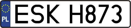 ESKH873