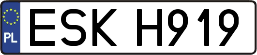 ESKH919
