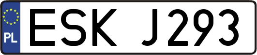 ESKJ293