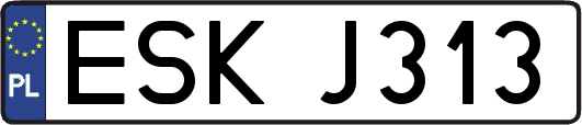 ESKJ313