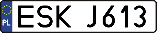 ESKJ613