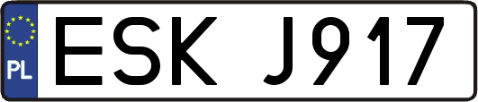 ESKJ917