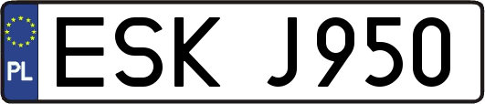 ESKJ950