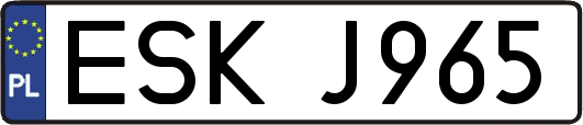 ESKJ965