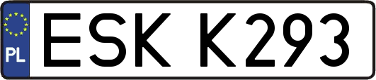 ESKK293