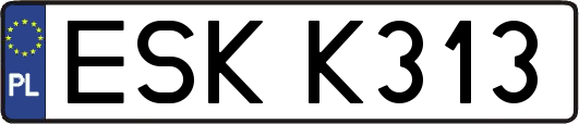 ESKK313