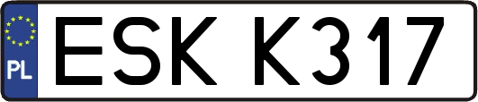 ESKK317