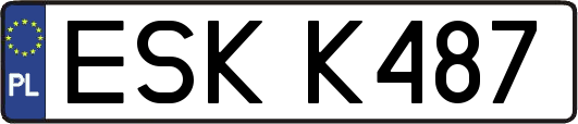 ESKK487