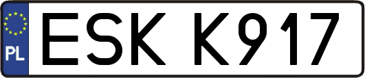 ESKK917