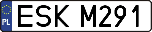 ESKM291