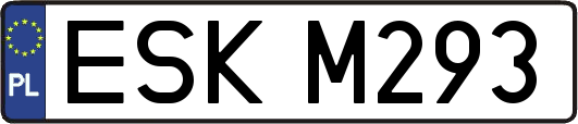 ESKM293