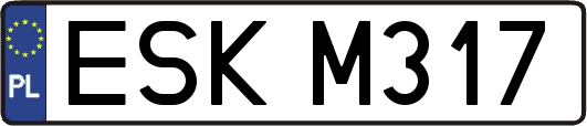 ESKM317