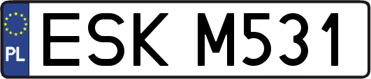 ESKM531