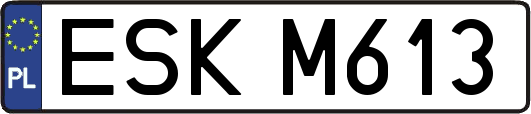 ESKM613