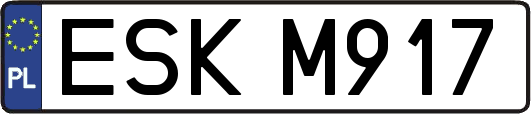 ESKM917