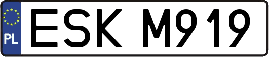 ESKM919