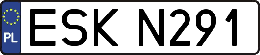 ESKN291
