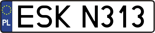 ESKN313
