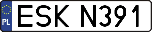 ESKN391