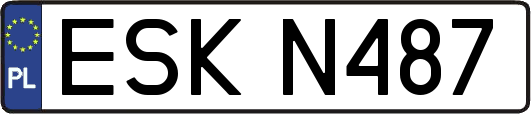 ESKN487